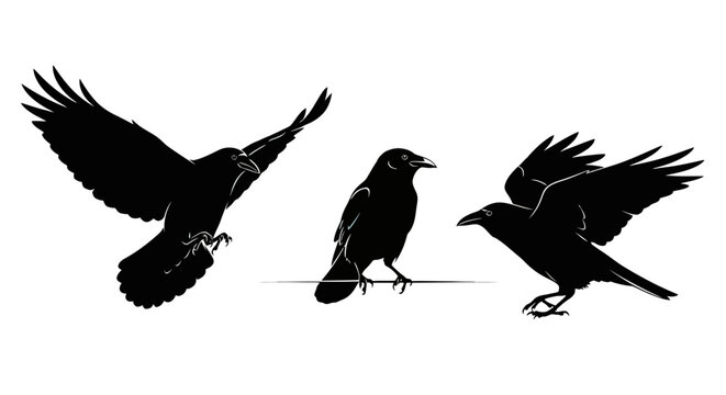Three Black Birds in Flight Silhouette 2.