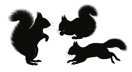 Obraz premium Three Squirrels in Motion Silhouette.