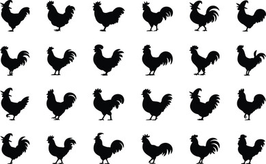 Rooster silhouettes set with various chicken breeds and cock birds in different poses for farm art © Mofajjol