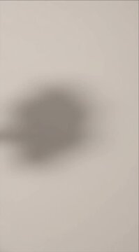 Abstract blur soft shadow minimal wall neutral background gray texture smooth surface subtle gradient muted color simple design empty space minimal background wall texture neutral gray surface