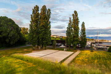 Fototapeta premium park in the city