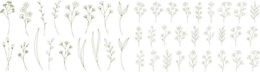 Fototapeta premium Collection of hand drawn wildflowers and plants