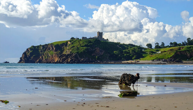 Historic Castle on Green Cliff Overlooking Sandy Beach