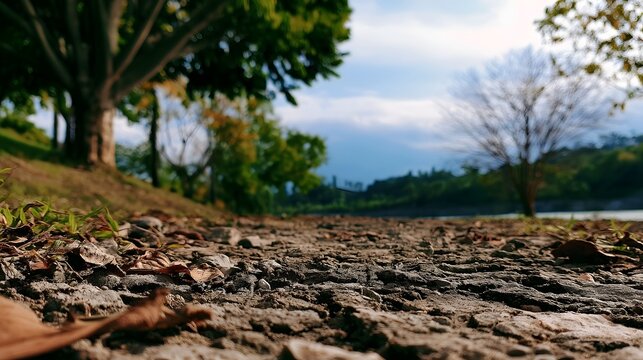 A wide view of lifeless deeply cracked earth surrounded by stark natural beauty
