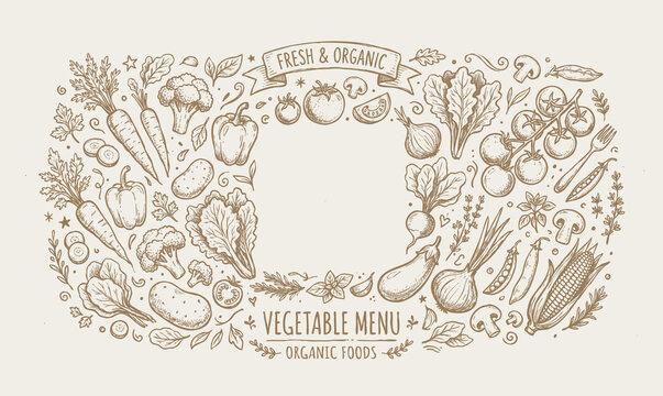 Vector vintage engraving illustration banner of vegetables frame with fresh organic agricultural crops and healthy foods.