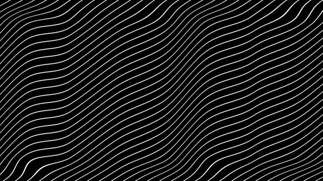 White Grey abstract curved wavy lines twist motion on black background.Visual white wavy line on black motion background.Minimal abstract thin white color wavy line moving background.
