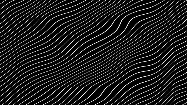 White Grey abstract curved wavy lines twist motion on black background.Visual white wavy line on black motion background.Minimal abstract thin white color wavy line moving background.
