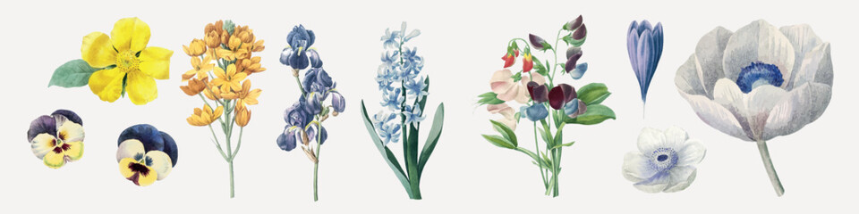 Fototapeta premium Vector set of colorful spring flowers and botanicals in delicate watercolor style