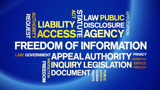 Freedom of information animated word cloud-text design animation tag kinetic typography seamless loop.