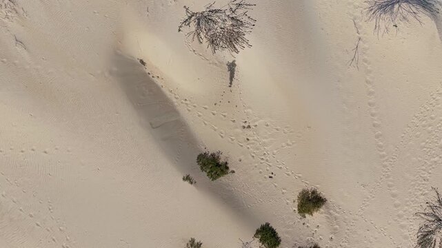 Dunes Of Velho Chico In Casa Nova Bahia Brazil. Unique Landscape Of White Sand Dunes And Crystal-Clear Lagoons. Delta Nature Forest Background Hydrography Bay. Delta Green. Casa Nova Bahia.