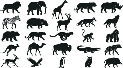 Black and white of various animals including giraffe, elephant, lion, zebra, and rhino © hr graphics