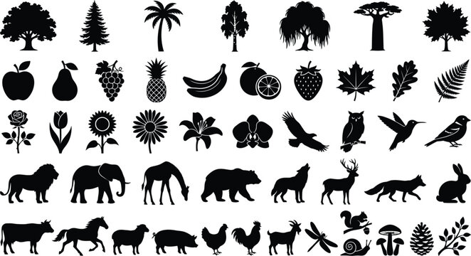 Black and white of various animals, birds, and insects in a grid mammals
