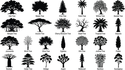 Black and white of various types of trees and shrubs plant foliage nature © hr graphics