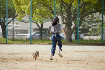 Obraz premium 春の昼の公園の運動場で楽しく遊んでいる可愛いポメラニアンの子犬と十代の女の子の姿