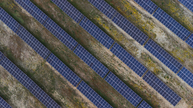 Aerial view of rows of solar panels on a renewable energies farm with dry earth and patches of yellow wildflowers in Portugal.