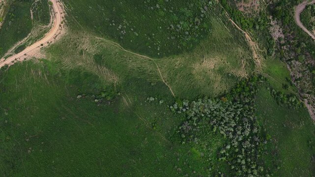 Mountainous area with different vegetation. Daylight saving time.