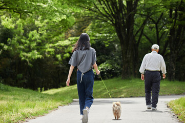 Fototapeta premium 春の公園でポメラニアンの子犬を連れて散歩する十代の女の子とシニア男性の姿