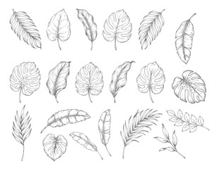 Antique botanical tropical leaf seamless repeat pattern collection © Sadhana