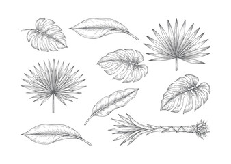 Vintage botanical foliage seamless pattern featuring tropical leaf illustrations © Sadhana