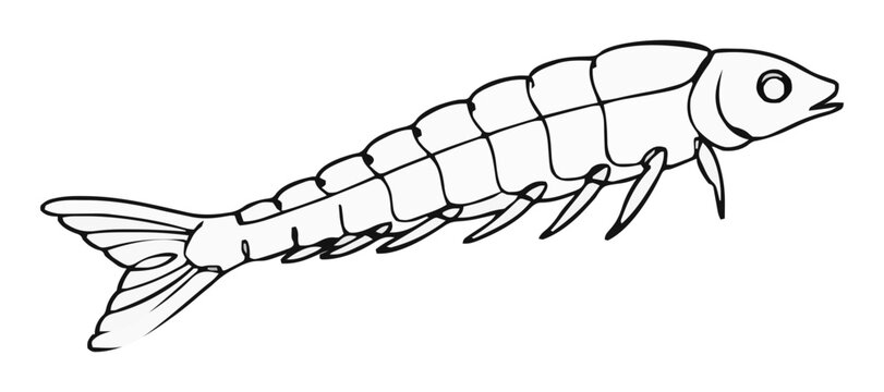 Silverfish insect side view continuous line art vect.... Generative AI