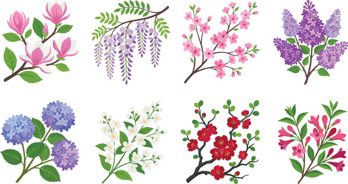Beautiful spring blooming shrubs vector set including magnolia wisteria cherry blossom lilac hydrangea and jasmine branches
