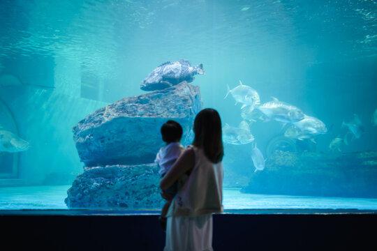 Asian mother holding her baby boy, watching big fish swimming in a giant aquarium tank.