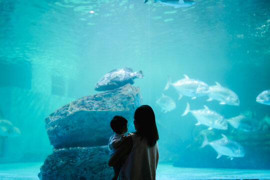 Asian mother holding her baby boy, watching big fish swimming in a giant aquarium tank.
