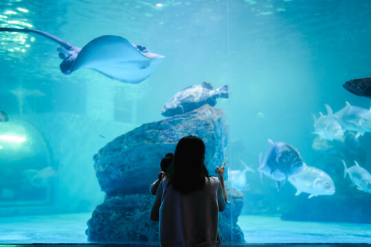 Asian mother holding her baby boy, watching big fish swimming in a giant aquarium tank.