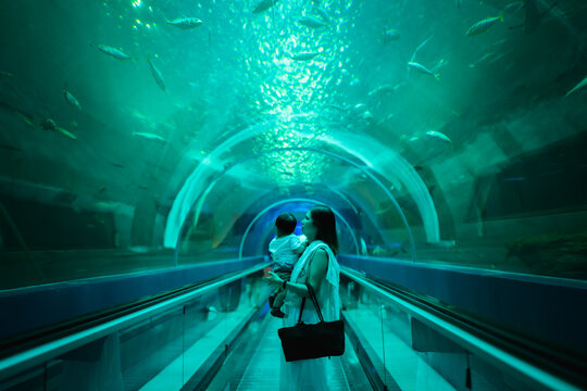 Asian mother holding her baby boy, watching big fish swimming in a giant aquarium tank.
