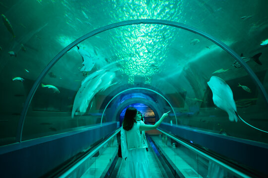 Asian mother holding her baby boy, watching big fish swimming in a giant aquarium tank.