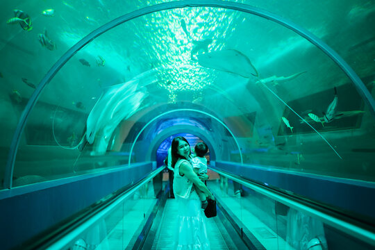 Asian mother holding her baby boy, watching big fish swimming in a giant aquarium tank.