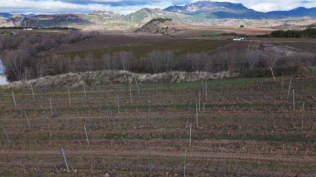 Aerial drone view moving forward over a winter vineyard to reveal the Ebro river and mountains in Haro, La Rioja, Spain