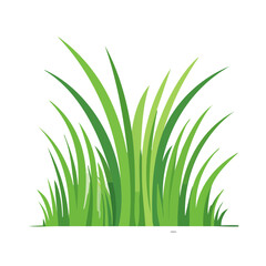 Fototapeta premium Flat illustration of green grass blades