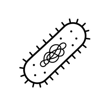 Bacillus Bacterium Structure Educational Biology Illustration Isolated on White Background