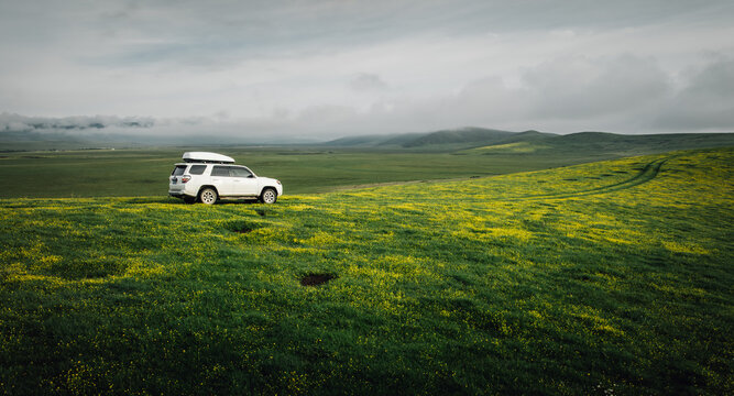 Driving Toyota off road car on the high altitude flowering grassland mountains