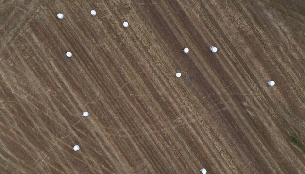 Aerial view of round straw bales wrapped in white plastic scattered across a harvested agricultural field in Spain.