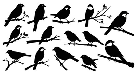 Black silhouettes of various birds perched on branches