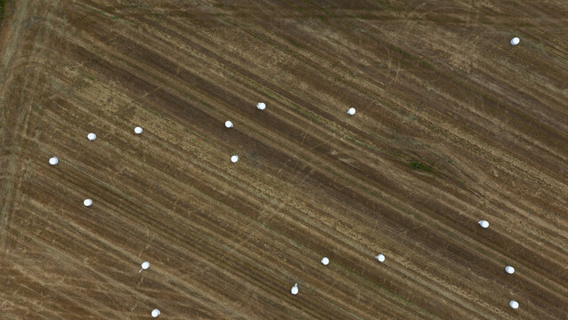 Aerial view of round straw bales wrapped in white plastic scattered across a harvested agricultural field in Spain.