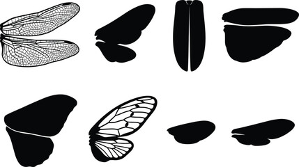 Black silhouette and line art insect wing vector set featuring butterfly, dragonfly, and beetle wings © Mdjoshel 
