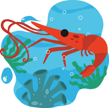 cute_shrimp-sea_world