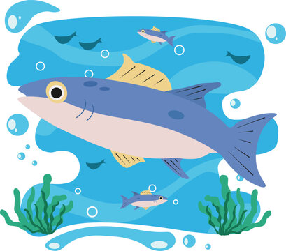 cute_tuna_sea_world