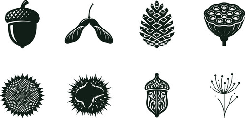 Nature seeds and cones icon set featuring acorn maple samara pinecone lotus pod chestnut sunflower and floral elements © MDARIFUL