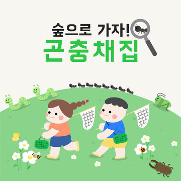 곤충채집