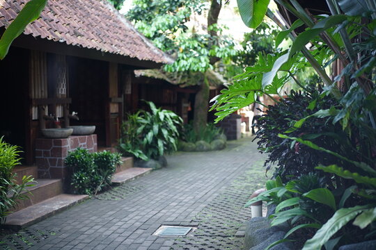 Traditional wooden villa with lush tropical garden in Bali Indonesia