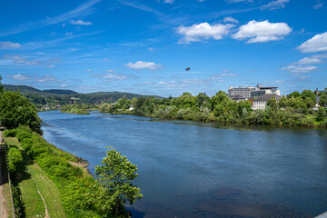 Fototapeta premium Die Mosel zog ihre ruhigen Schleifen durch die grüne Landschaft, als hätte sie alle Zeit der Welt. Zwischen bewaldeten Hängen, kleinen Inseln und dem tiefblauen Himmel wirkte jeder Augenblick wie eine