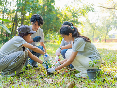 Asian volunteers planting trees for environmental conservation sustainable eco project to Save World
