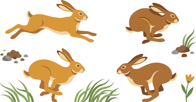 Running Hare Vector Illustration Set with Fast Leaping Jackrabbits, Wild Rabbits, Grass, and Meadow Nature Icons for Wildlife and Outdoor Designs