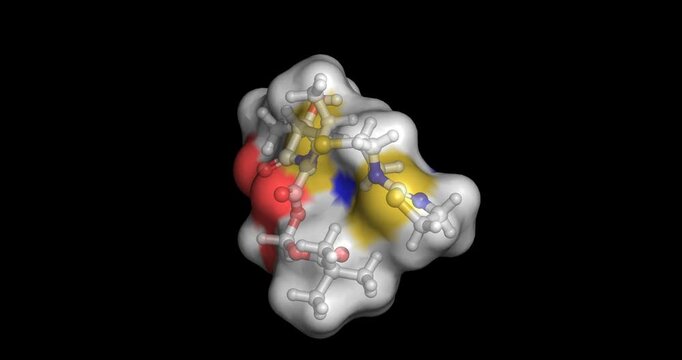 Tebipenem pivoxil, orally bioavailable carbapenem prodrug/ cell wall synthesis inhibitor for complicated urinary tract infections, 3D molecule 4K spinning 