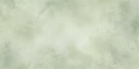 Fototapeta premium Abstract Textured Background: A soft, ethereal backdrop with a watercolor-like texture in muted green and cream tones, evoking a sense of calm and organic beauty.