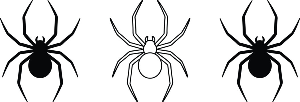 PrintStylized spider silhouettes and outline illustration showing creative comparison of graphic design styles for arachnid artwork and visual perception projects
